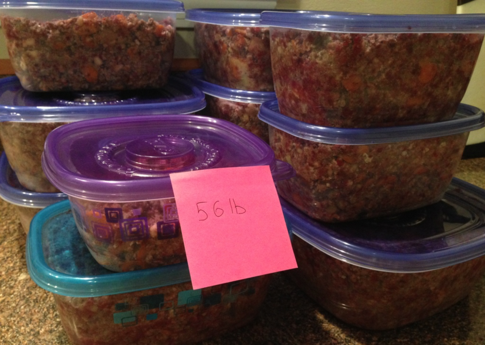 homemade dog food recipe